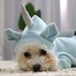 Reusable Unicorn Lovely Cloth For Your Dog -Unicorn Fashion 76928 szikpi