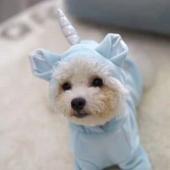 Reusable Unicorn Lovely Cloth For Your Dog -Unicorn Fashion 76928 up0fjr